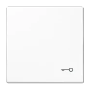 Jung LS 990 T WW Schakelwip met symbool "sleutel" Alpine wit Premium
