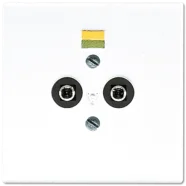 Jung LS 965-2 N WW Potentiaal aardingscontactdoos Alpine wit Alleen Vandaag