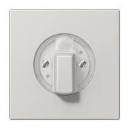 Hoge Kwaliteit Jung LS 1941 LG Afdekking voor draaischakelaars Lichtgrijs