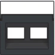 Voordeelprijs Niko 122-65400 Centraalplaat data 2x RJ schuine uitgang, Anthracite