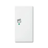 Lage Prijs Busch-Jaeger 6233-22-914 Busch-balance SI Bedieningswip 2-voudig rechts, met symbool "Scène" Wit