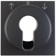 Must-Have Berker 15061606 S.1/B.3/B.7 Centraaldeel voor sleutelcilinder jaloeziebediening antraciet mat