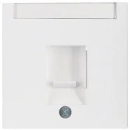 Lage Kosten Berker 11701909 S.1/B.3/B.7 Centraaldeel RJ-datacontactdoos 1-v met stofschuif en tekstkader polarwit mat