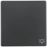 Hoge Kwaliteit Berker 16206046 Q.1/Q.3/Q.7 Wip met lichtsymbool opdruk antraciet soft finish