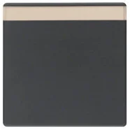 Hoge Kwaliteit Berker 16266086 Q.1/Q.3/Q.7 Wip met tekstveld opdruk antraciet soft finish