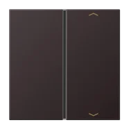 Jung AL 2401 TSAP D Taster 1-voudig met symbolen Dark (gelakt aluminium) Goedkoop