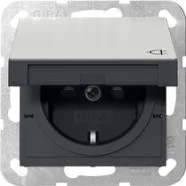 Beperkt Aanbod Gira 4414600 Systeem 55 Wandcontactdoos met randaarde 16A 250V met klapdeksel en verhoogde aanraakbeveiliging (Safety Plus) Edelstaal