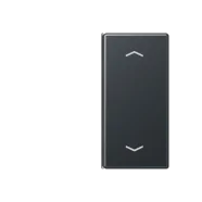 Shop Nu Jung A 402 TSAP ANM Taster 2-voudig met symbolen Antraciet mat