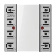 Must-Have Jung LS 5072 TSM KNX tastermodule Standaard, 2-voudig