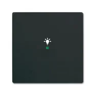 Weekendaanbieding Busch Jaeger 6220-0-0499 Bedieningswip 1-voudig met symbool "Licht" Zwart mat