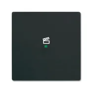 Nu Kopen Busch-Jaeger 6233-10-885 Bedieningswip 1-voudig met symbool "Scène" Zwart mat