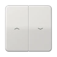 Jung CD 595 P LG Schakelwip met pijlsymbolen 2-voudig Lichtgrijs Meest Verkocht