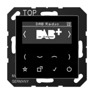 Jung DAB A SW Smart Radio DAB+ Zwart Gecertificeerd
