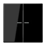 Jung LS 995 KO5 SW Schakelwip met lens 2-voudig Zwart Dagaanbieding