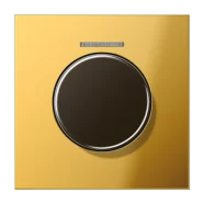 Jung GO 1940 KO5 Afdekking met lens voor KNX draaisensor Goudkleurig Voordeelprijs