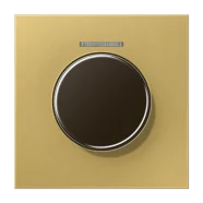Lage Kosten Jung ME 1940 KO5 C Afdekking met lens voor KNX draaisensor Messing klassiek
