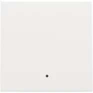 Niko 154-32002 Afwerkingsset met lens voor elektronische schakelaar of drukknop, White coated Populair