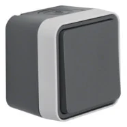 Speciale Aanbieding Berker 30773505 W.1 Kruisschakelaar met behuizing Grijs IP55