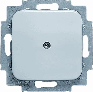Busch-Jaeger 2538-212 blindplaat centraalplaat creme Koop Online