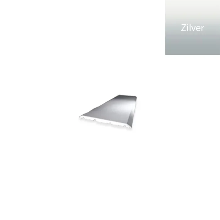 Lage Kosten Dilatatieprofiel zelfklevend 40mm Zilver 300cm - 41801