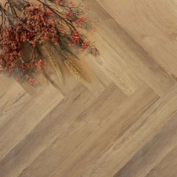Nu Kopen Douwes Dekker Ambitieus Visgraat Gemberkoek 10519