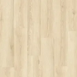 Direct Beschikbaar Beautifloor Plakpvc Zeeland Terneuzen