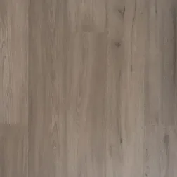 Douwes Dekker Trots 4684 Solide plank Marjolein Rechtstreeks Van De Fabrikant