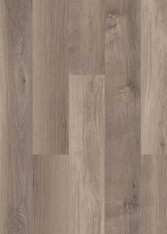mFLOR Broad Leaf 41817 Smoky Sycamore Seizoensaanbieding
