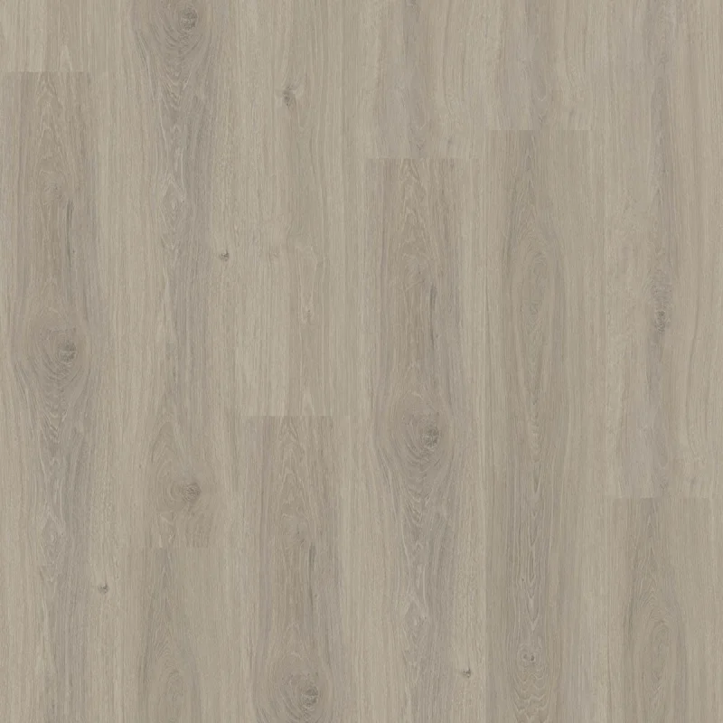 Aspecta Excellence GD55 Mushroom XL Plank GD5525PL58203 Populair