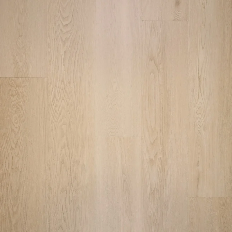 Beperkte Voorraad Douwes Dekker Nieuwe Oogst Plank Aardbei