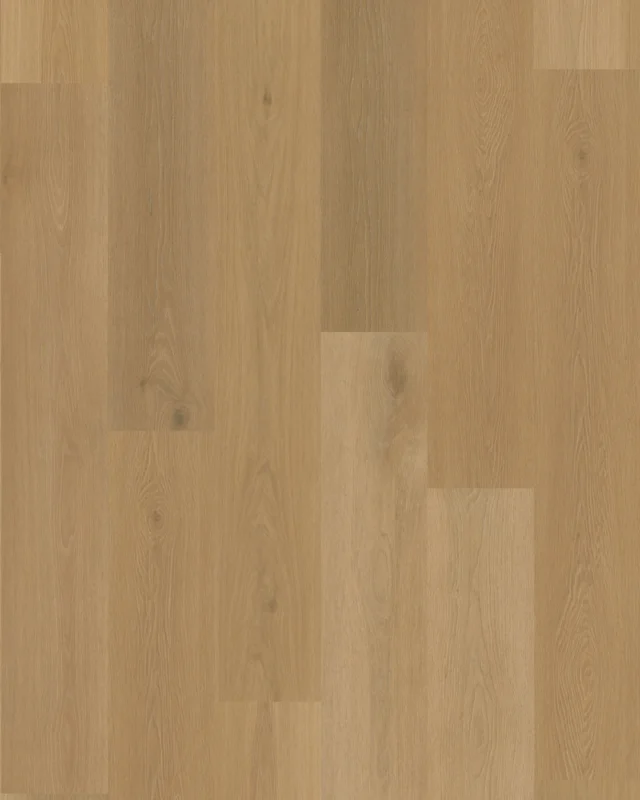 Belakos Borgo 320 Nieuw