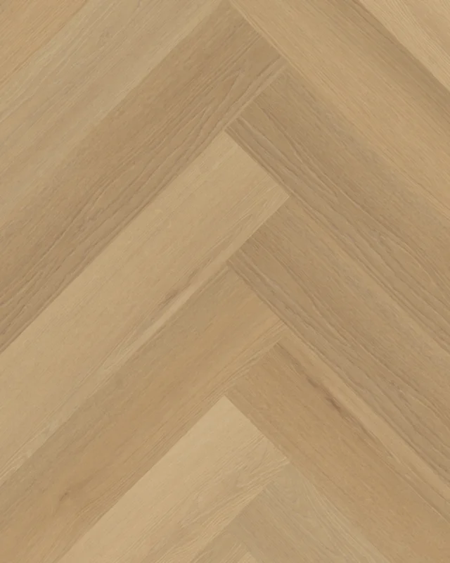 Belakos Borgo Visgraat XL 30 Rigid Click Tijdelijk Beschikbaar