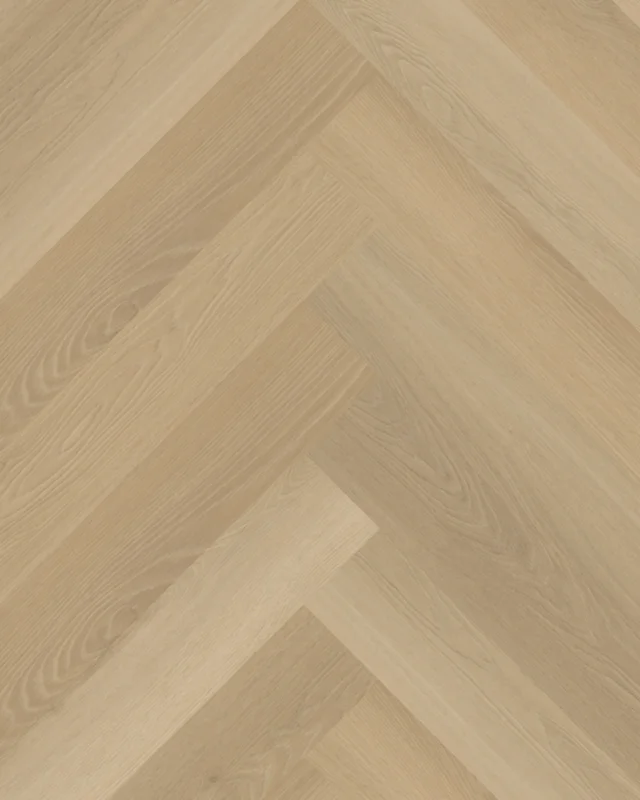Belakos Borgo Visgraat XL 31 Rigid Click Nieuw