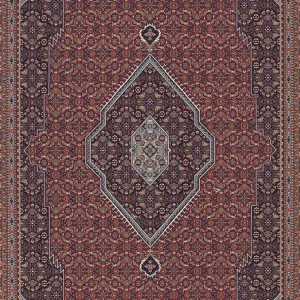 Speciale Aanbieding Vloerkleed Derbe 72220 - 300 x 400 cm