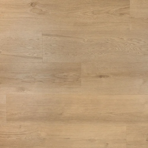 Douwes Dekker dryback riante plank gemberkoek – 4726 Goedkoop