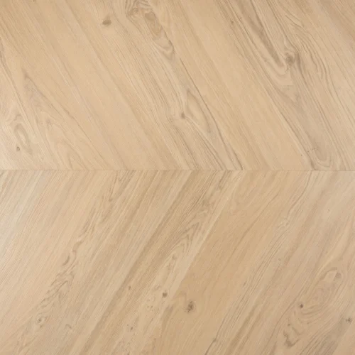 Douwes Dekker dryback hongaarse punt crème brûlée – 7809 Betrouwbaar
