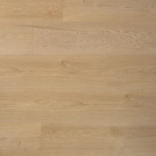 Douwes Dekkers klik Riante plank boterkoek – 4869 Dagaanbieding