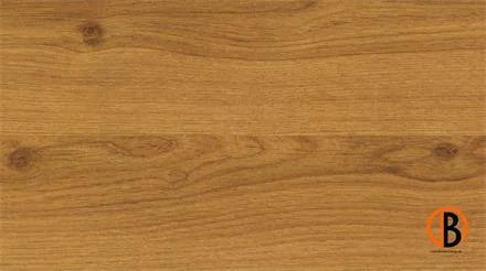 Laatste Kans Amorim WISE WOOD inspire 700 HRT Country Prime Oak
