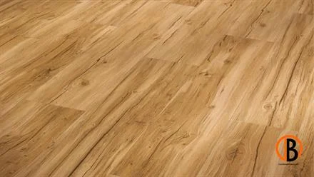 Parador Vinyl mit SPC-Trägerplatte Basic 5.3 Eiche Memory Natur gebürst.Strukt. LHD Shop Nu