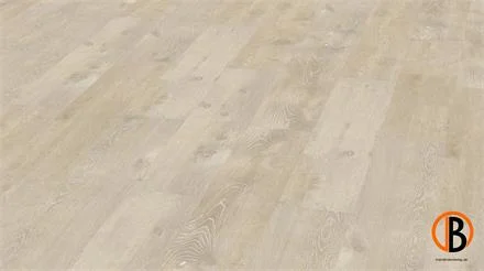 Alleen Vandaag KWG Kork-Designboden Samoa HDF HotCoating Eiche Nordic