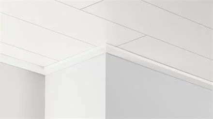 Veilige Betaling PARADOR Dekor-Deckenleiste DAL 3 White Lines Dekor
