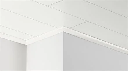 Koopje PARADOR Dekor-Deckenleiste DAL 3 Pinie Weiss Dekor