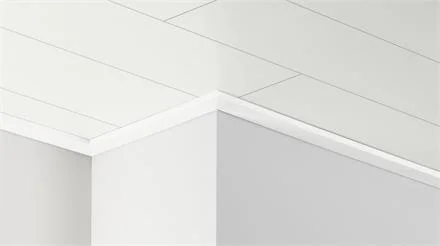 Snelle Levering PARADOR Dekor-Deckenleiste DAL 3 Esche Weiss glänzend Dekor