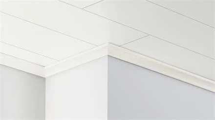 PARADOR Dekor-Deckenleiste DAL 2 Esche Weiss Dekor Aanbieding