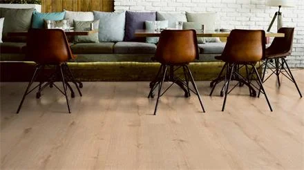 terHürne Soya Eiche Lübeck Pro Designvinyl Lange Landhausdiele V-Fuge Shop Nu
