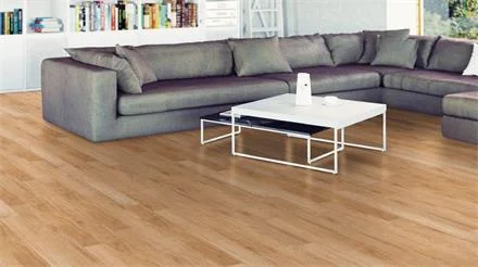 Rechtstreeks Van De Fabrikant PROJECT FLOORS floors@home/20 PW 1633