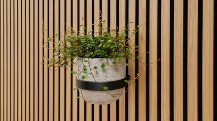 Hoge Kwaliteit ter Hürne SilentDesign LivingWall Blumentopf Soeren schwarz